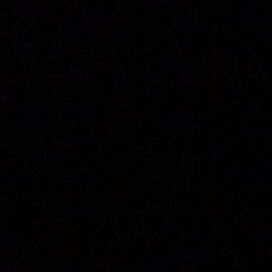 Meet your Posher, Todd